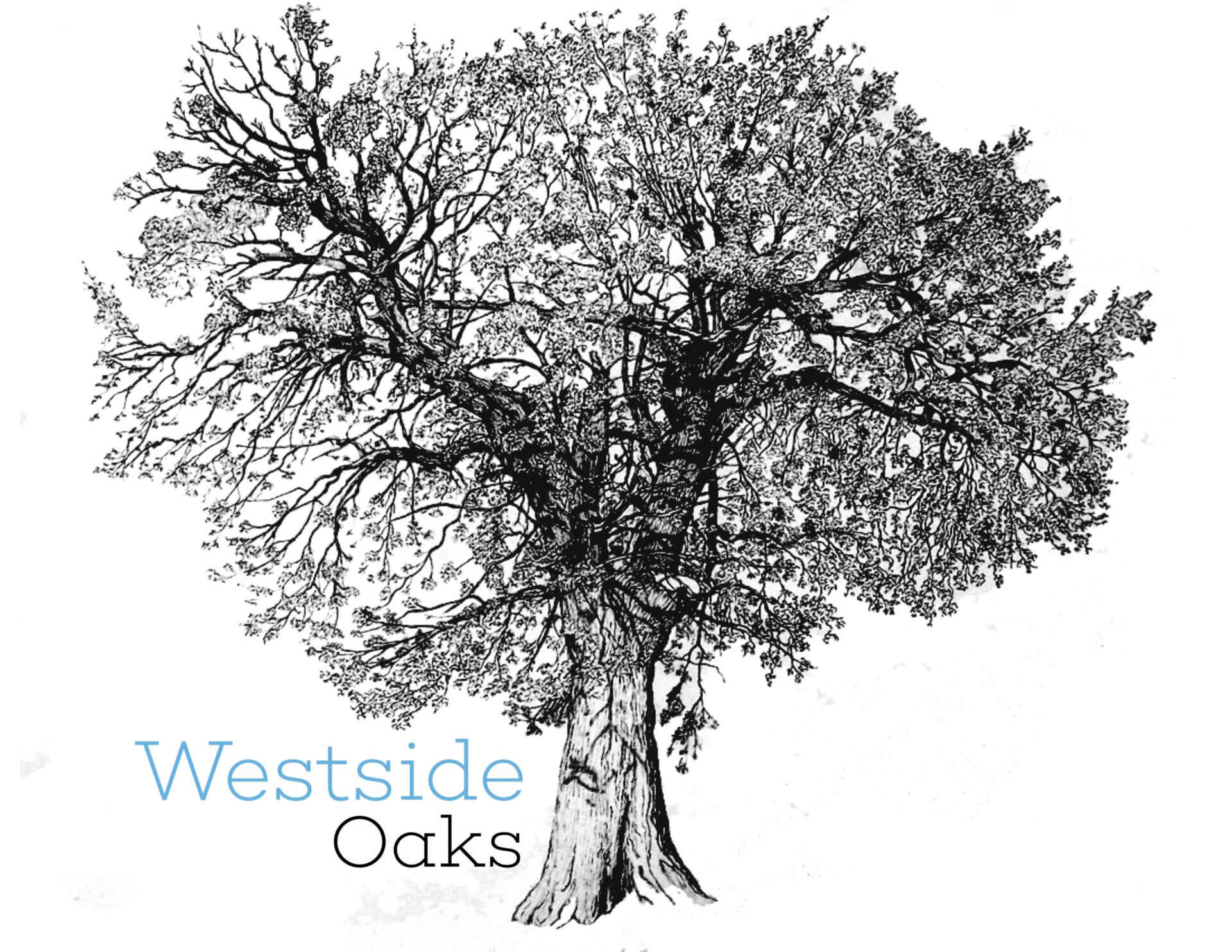 Westside Oaks